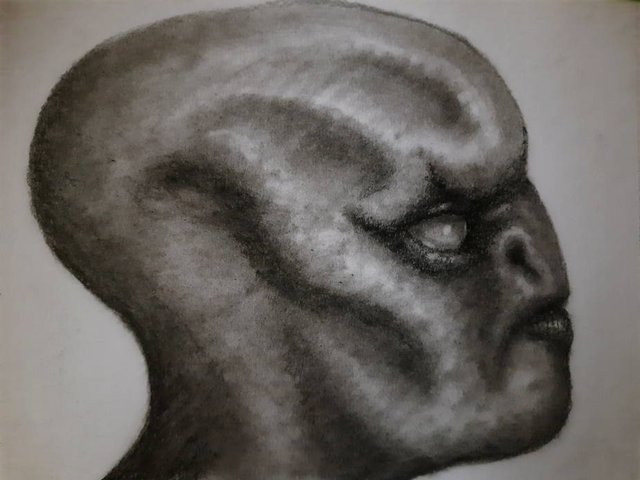 20250919_104517.jpg