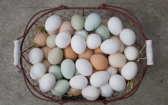 Basket-Eggs-Different-Colors.jpg.653x0_q80_crop-smart.jpg