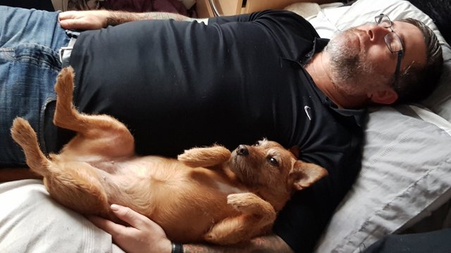 Hubby & Mika napping.jpg