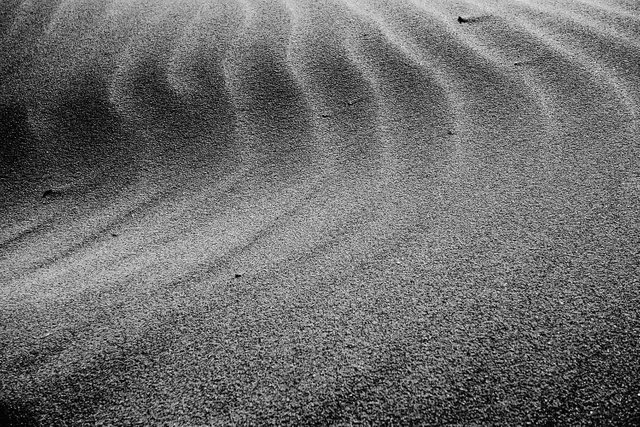 Dunes2b.jpg