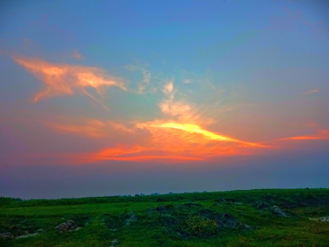 IMG_20250605_202046.jpg