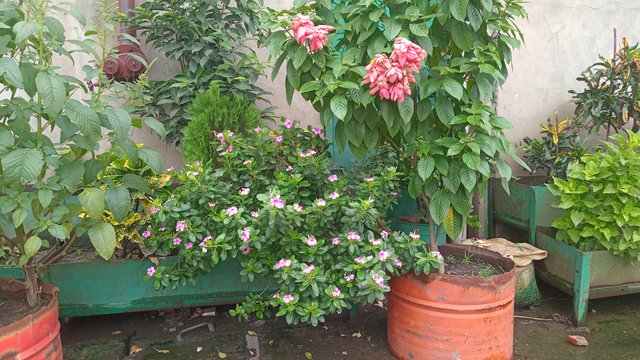 20250922_121644.jpg
