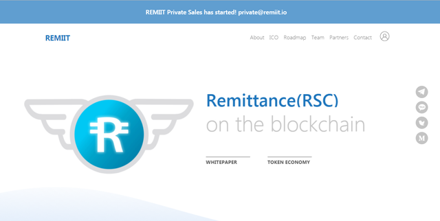 remit logo.png