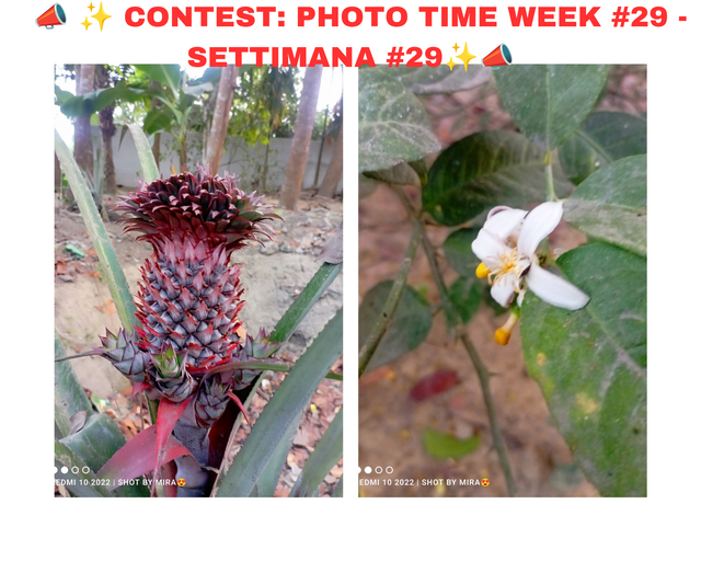 ## _center__b__a href=_https___steemit.com_submit.html__Bismillahir rahmani_20250408_223656_0000.png