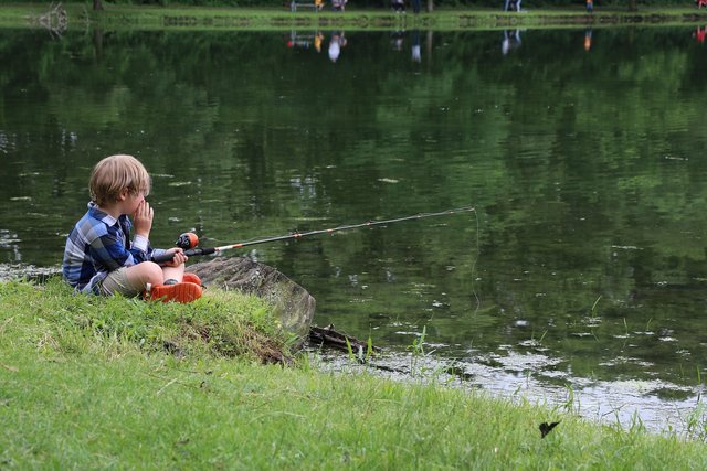 child-fishing-3867994_1280.jpg