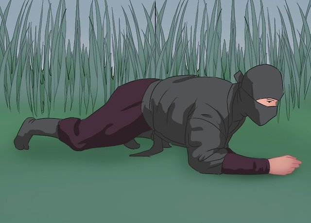 Understanding Stealth Techniques_Step 5.jpg
