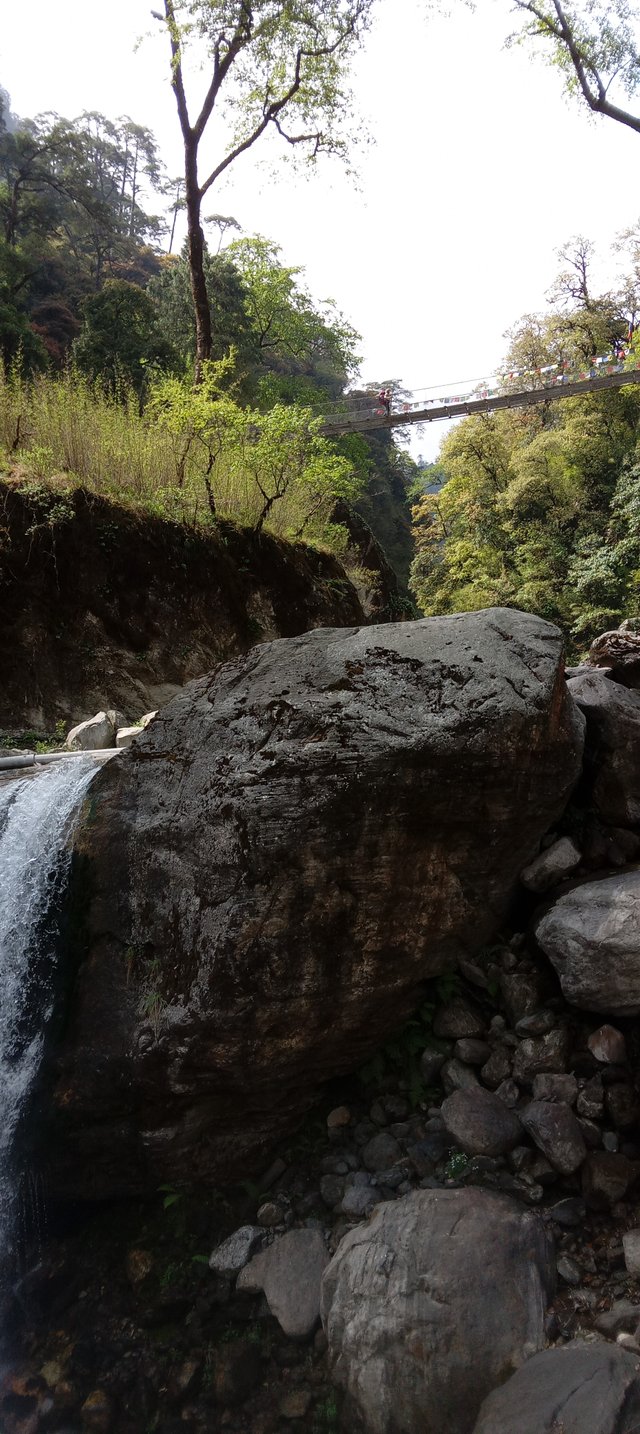 20250503_100120.jpg