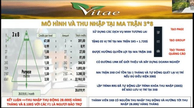 Ma trận thu nhập Vitae