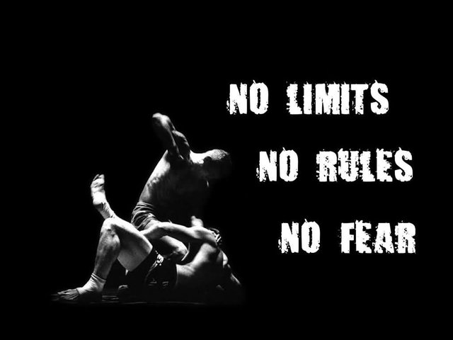 No-Limits-No-Rules-No-Fear.jpg