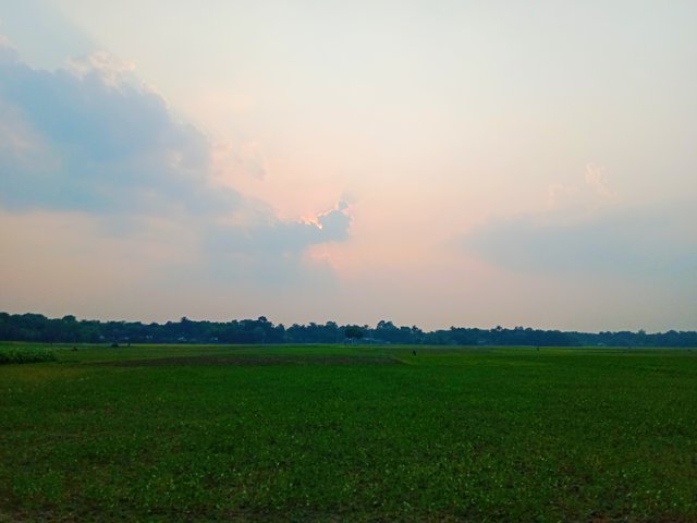 IMG_20250505_190952.jpg
