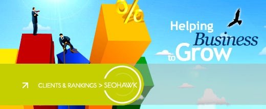 seo hawk noida