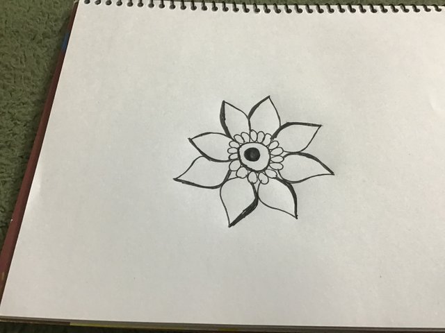 IMG_1110.jpeg
