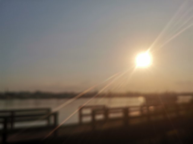IMG_20250409_171756.jpg