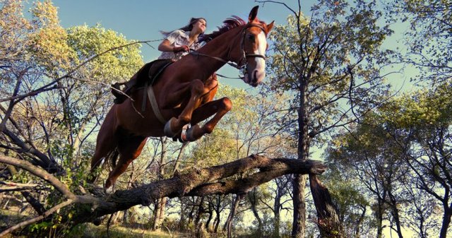 Horse-jump-forest-760x400.jpg