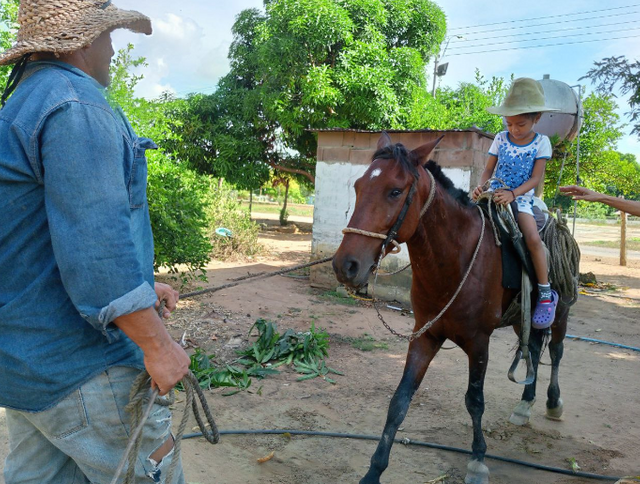 caballo1.png