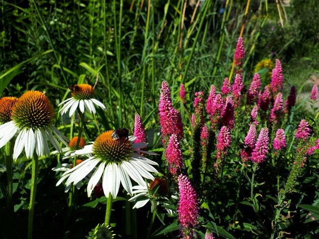 20180712_065247.jpg