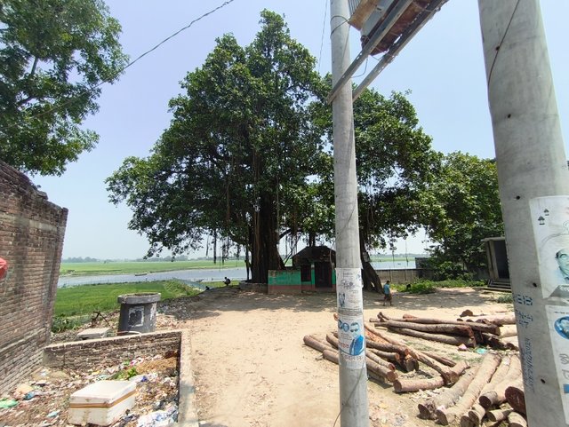 1000026421.jpg