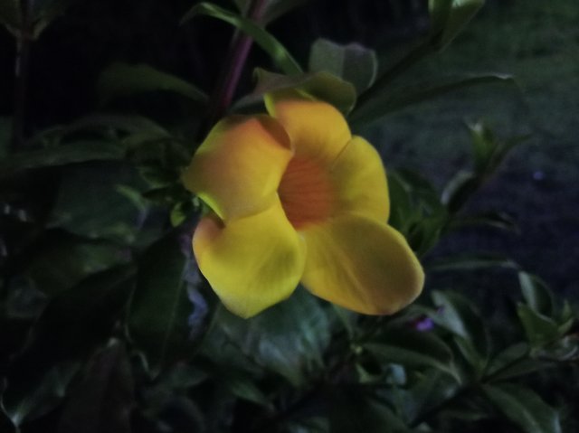 IMG_20250914_220600.jpg