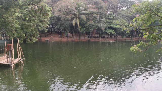 IMG_20240608_162219.jpg