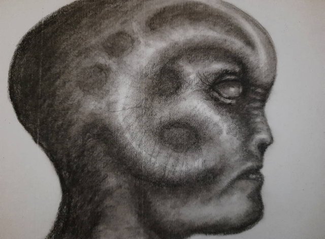 20250629_100946.jpg