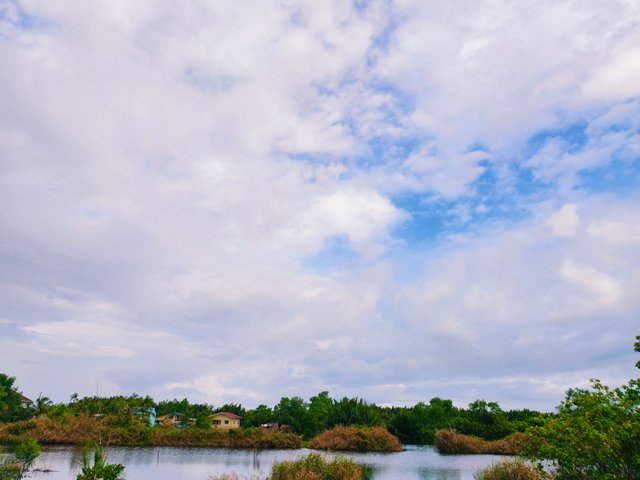 IMG_20250711_082414.jpg