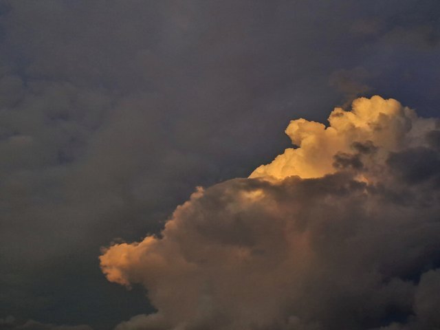 20250706_184209.jpg