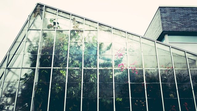 greenhouse-1246536__480.jpg