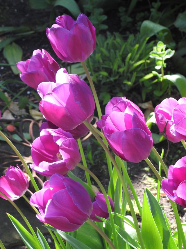 DSCN1557.JPG