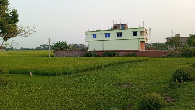 IMG_20250416_174000_4.jpg