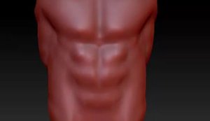 torso-thumbnail.jpg