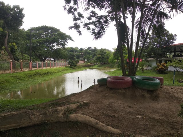 IMG_20250518_125040.jpg