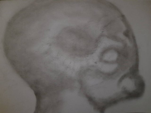 20250614_102936.jpg