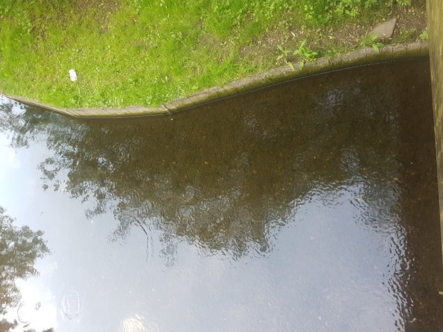 20180523_193149.jpg