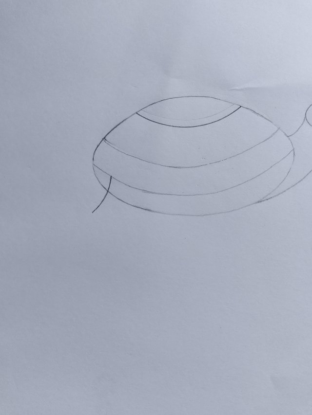 1000053251.jpg