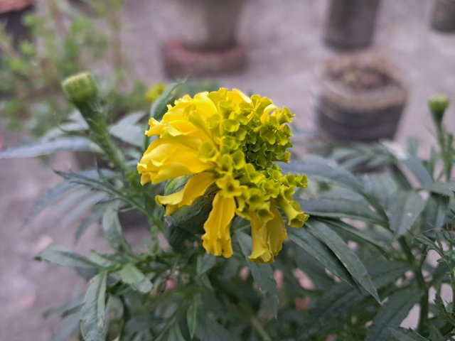 20240105_172036.jpg