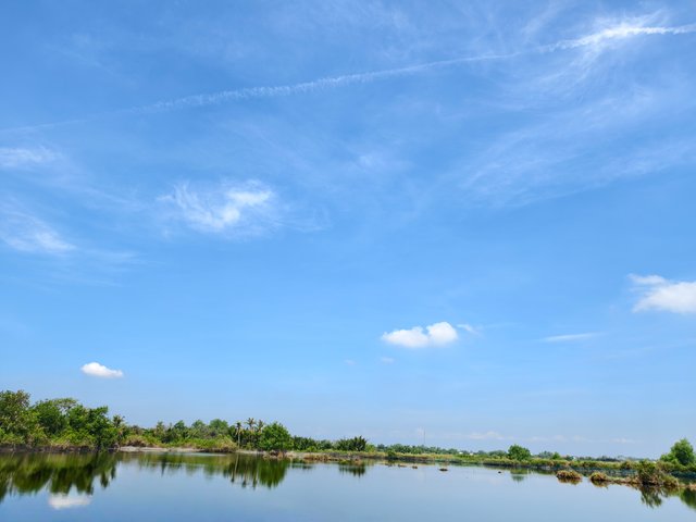 IMG_20250503_051802.jpg
