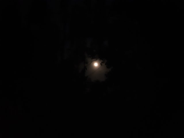 20250412_202758.jpg