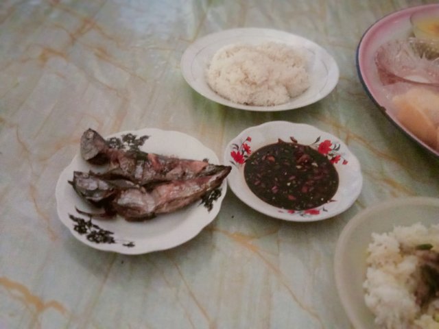 IMG20250501130430.jpg