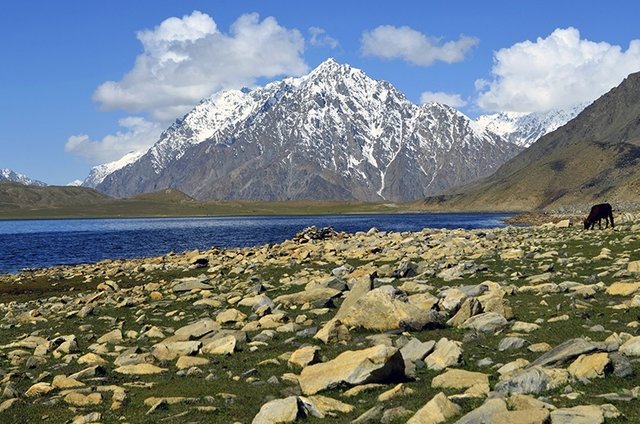 shandur.jpg