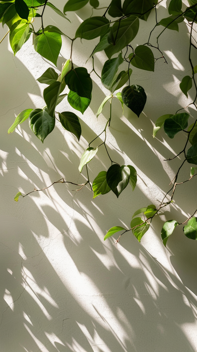 _Sunlight_filtering_through_green_leaves_creating_a_pattern_of_light_and__6636d6693a5e30ce2802ebca_1.png