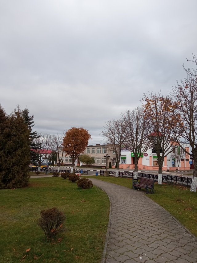 IMG_20211024_130753.jpg