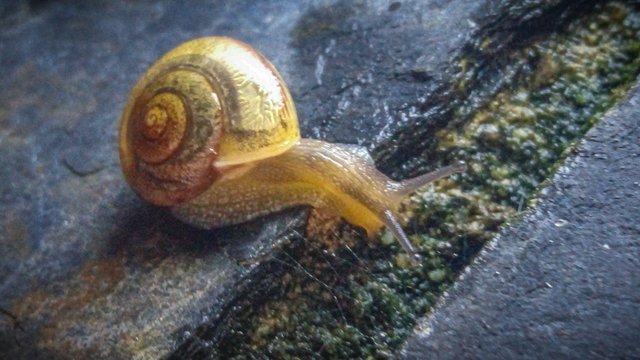 IMG_20250822_173754_636 (1).jpg