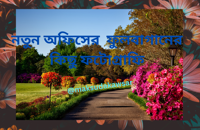 নতুন অফিসের ফুলবাগানের কিছু ফটোগ্রাফি.png