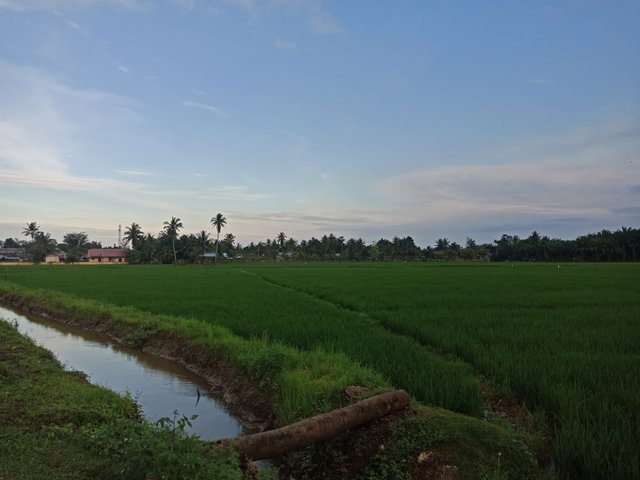 IMG20221222173505.jpg