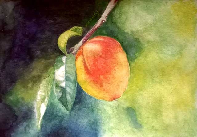 Peach Study