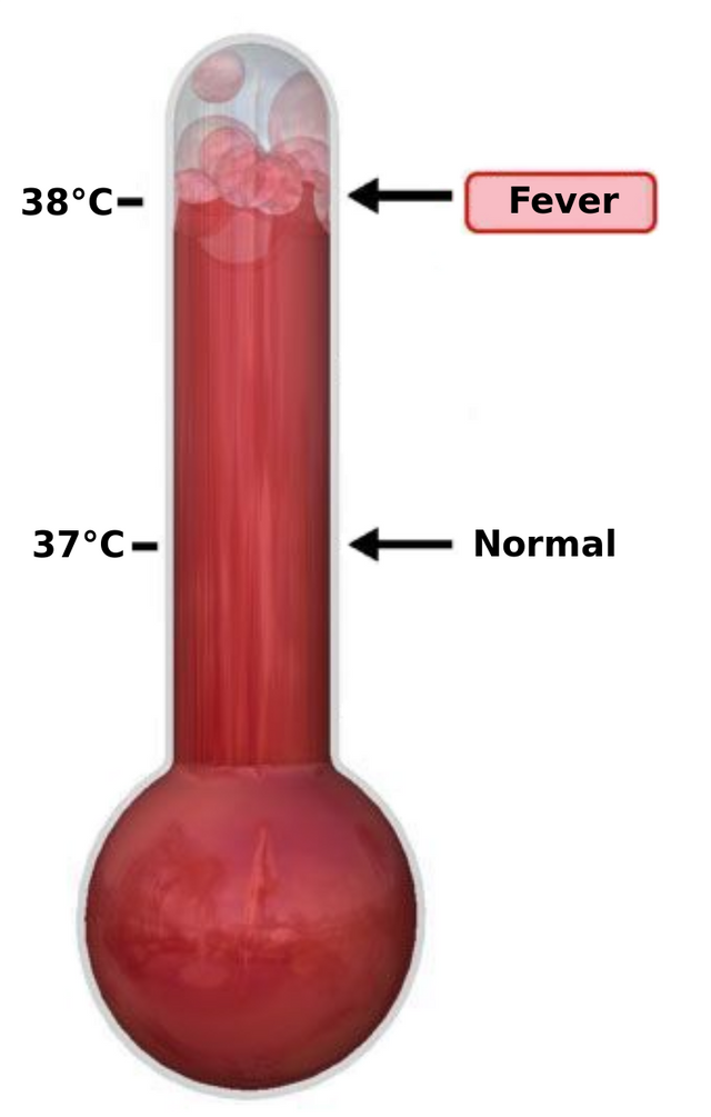 Thermometer_Fever.svg.png