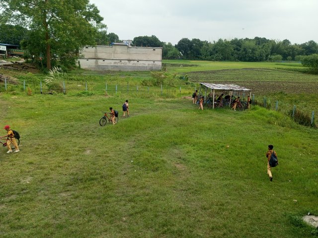 IMG_20250916_132114_208.jpg