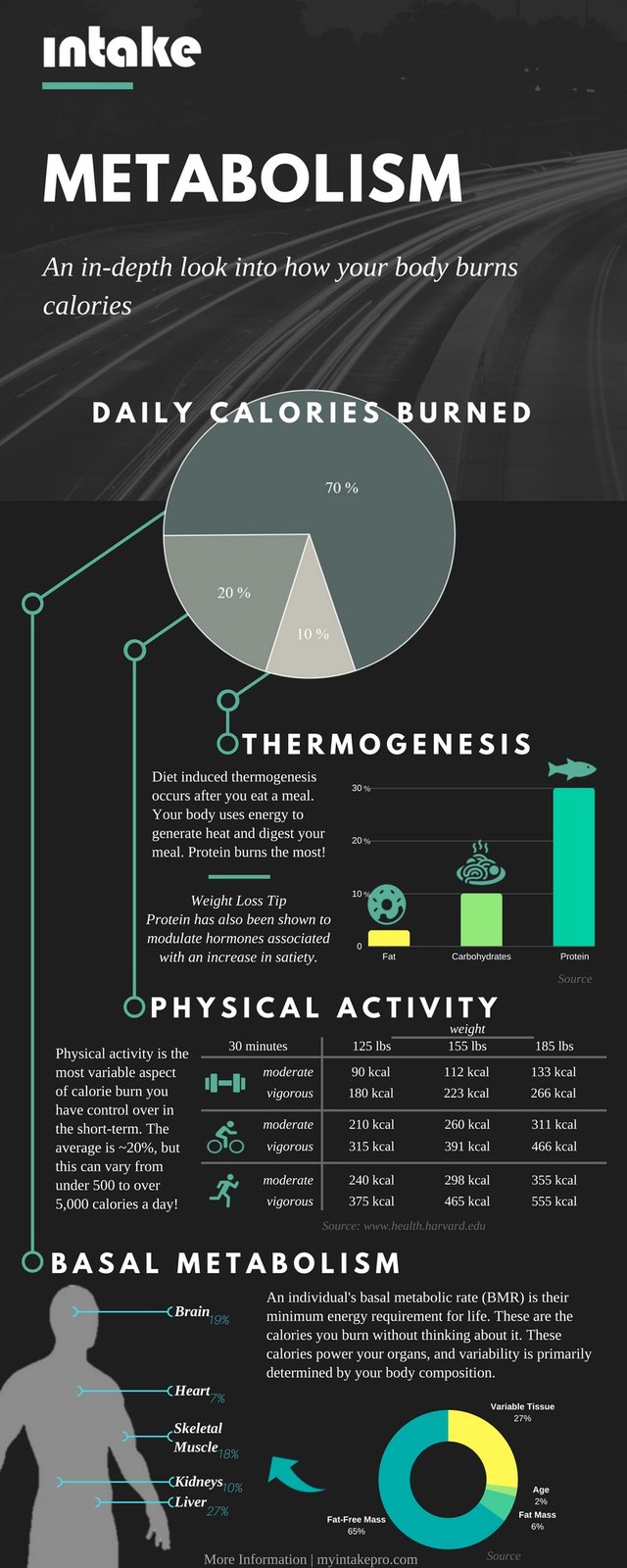 what-is-metabolism-infographic.jpg