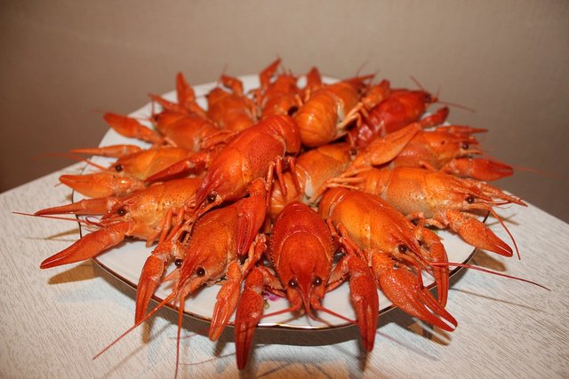 crayfish-3631928_960_720.jpg