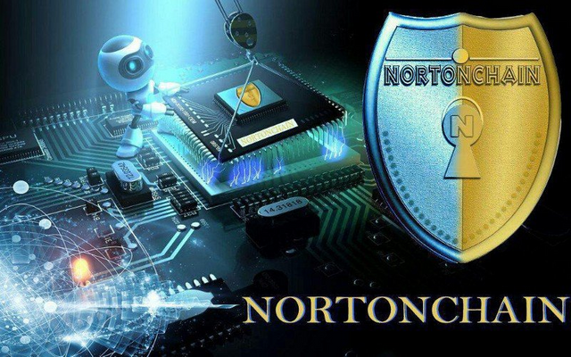 Image result for nortonchain ico